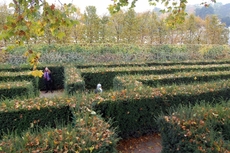 Schloss_Schönbrunn_Irrgarten_04.JPG